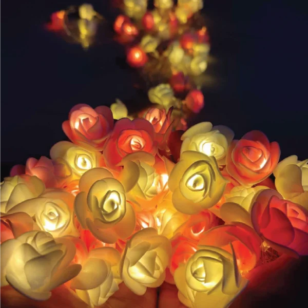 Rose Light Set ( Plug system )